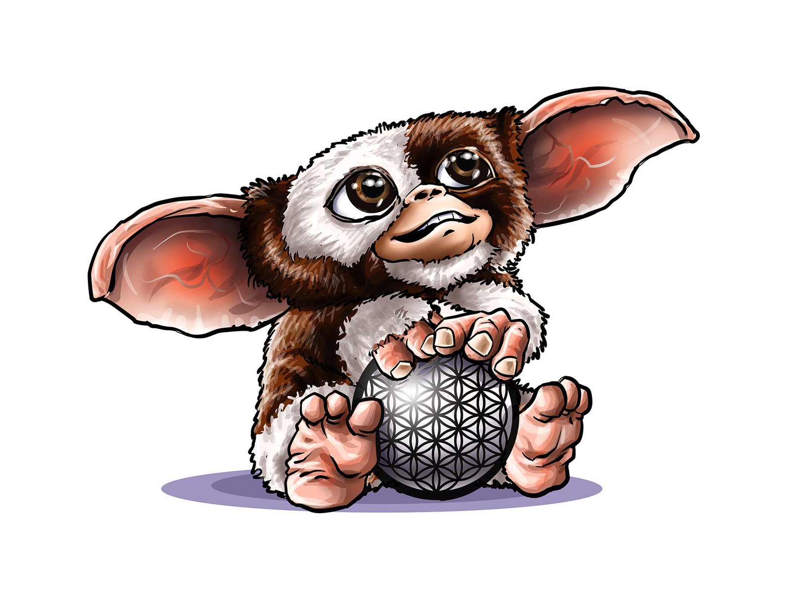 Client Picture Looking Top Right